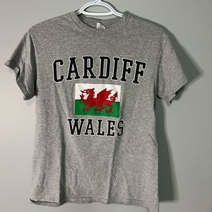 Grey Cardiff, Wales Tshirt in Gildan